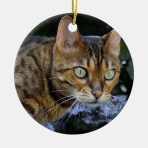 Ornamento De Cerâmica Sneaking Bengal Cat