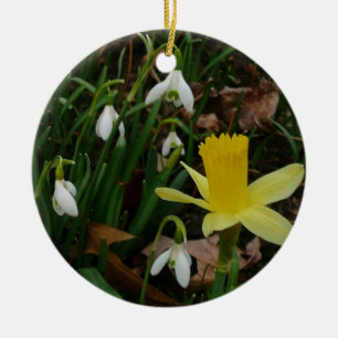 Ornamento De Cerâmica Snowdrops e o Daffodil saltam cedo floral