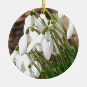 Ornamento De Cerâmica Snowdrops impressionante