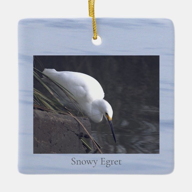 Ornamento De Cerâmica Snowy Egret Bird Photo Ornament  (Frente)