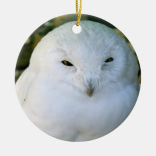 Ornamento De Cerâmica Snowy Owl