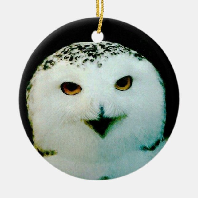 Ornamento De Cerâmica Snowy Owl Ornament (Frente)