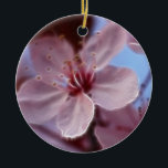 Ornamento De Cerâmica Softness de primaveras<br><div class="desc">Flor cor-de-rosa delicada do primavera editada macia com Fractalius.</div>