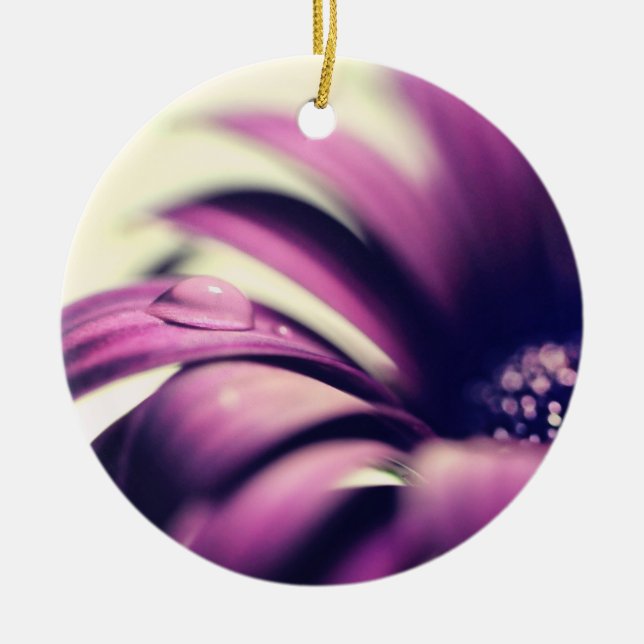 Ornamento De Cerâmica Solha d'água em Purple Gerbera Daisy (Frente)