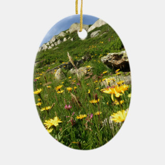 Ornamento De Cerâmica Solte a sua imaginação! Flores alpinas