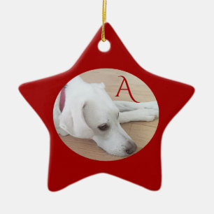 Ornamento De Cerâmica Solteiro Personalizado de Cão Cachorro Inicial Est