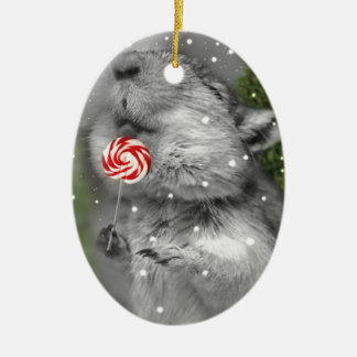 Ornamento De Cerâmica Sonho do Natal do Gerbil