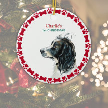 Springer Spaniel 1rua Natal Personalizado