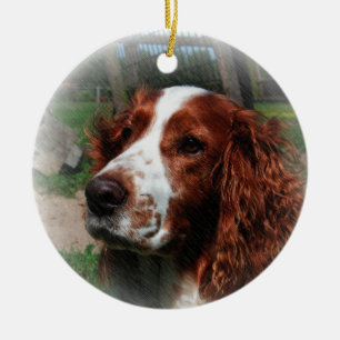 Ornamento De Cerâmica Springer Spaniel Dog Art