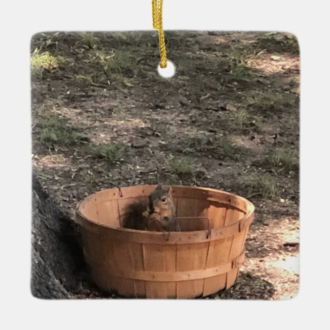 Ornamento De Cerâmica Squirrel  (Frente)