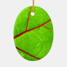 Ornamento De Cerâmica St Thomas 1