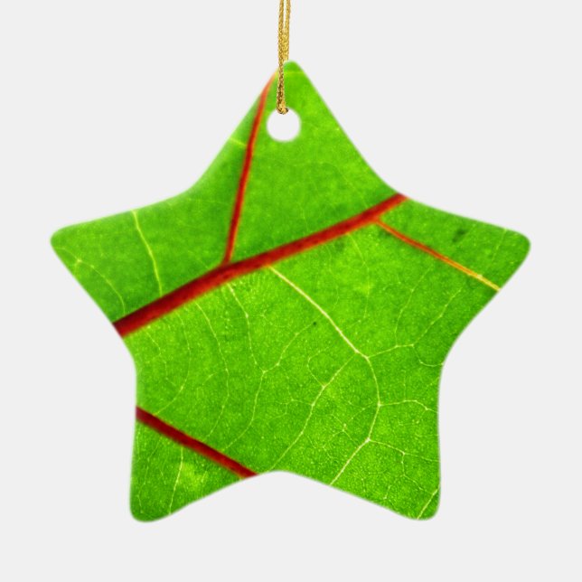 Ornamento De Cerâmica St Thomas 1 (Frente)