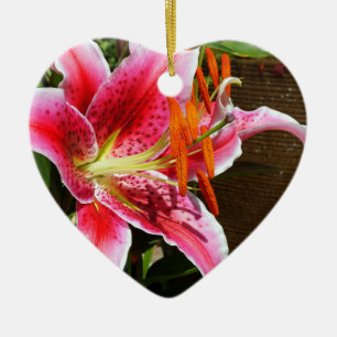 Ornamento De Cerâmica Stargazer Lily Fotografia Cerâmica