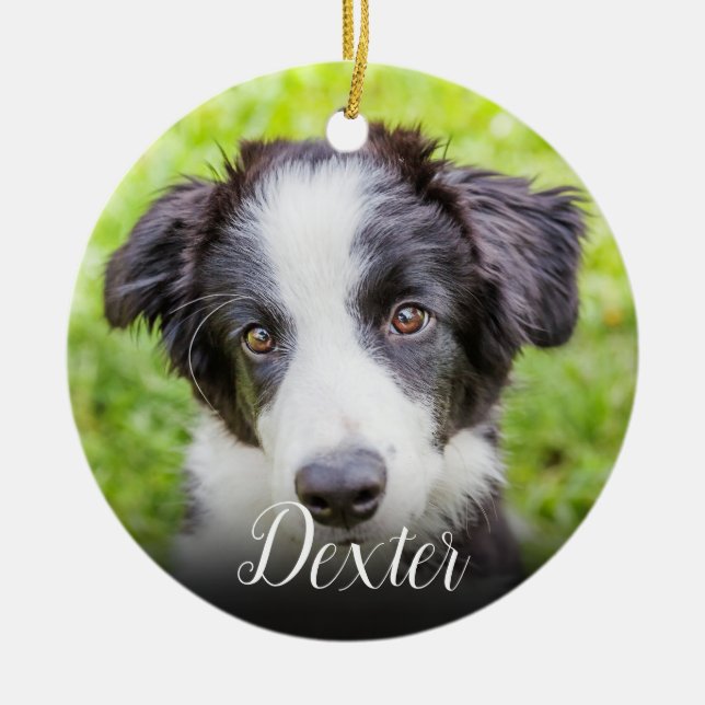 Ornamento De Cerâmica Sua Foto Pet Favorita (Frente)