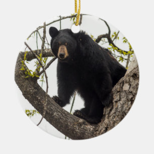 Ornamento De Cerâmica Subindo Urso Negro
