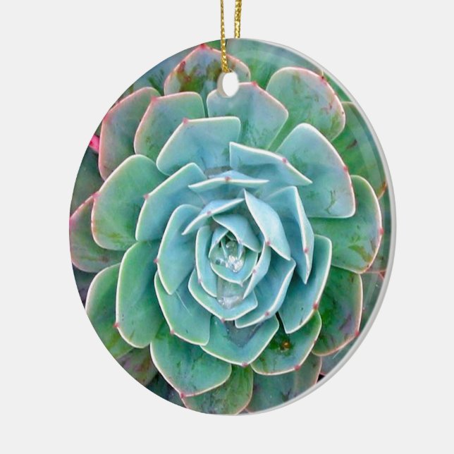 Ornamento De Cerâmica Succulent (Esquerda)