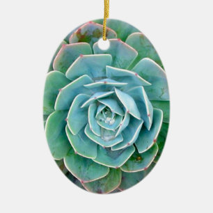 Ornamento De Cerâmica Succulent