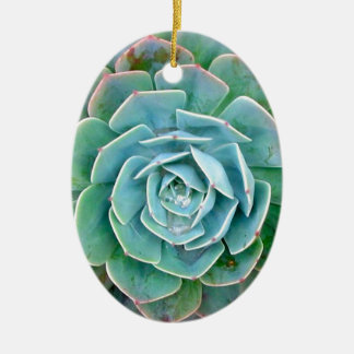 Ornamento De Cerâmica Succulent