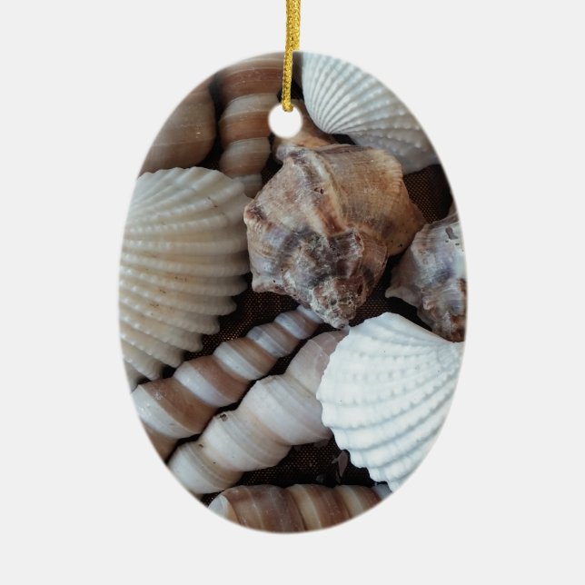 Ornamento De Cerâmica Sunny Seashells Collection Nature Summer (Frente)