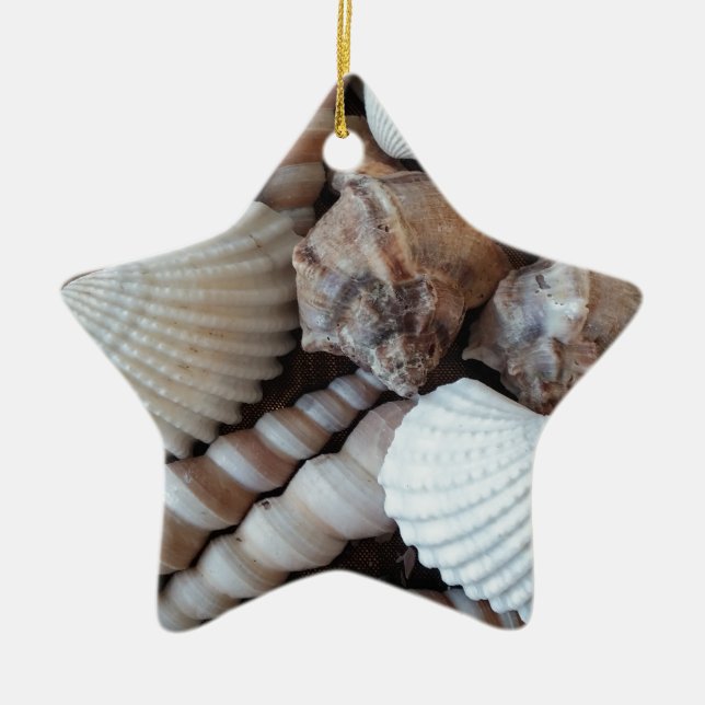 Ornamento De Cerâmica Sunny Seashells Collection Nature Summer (Frente)