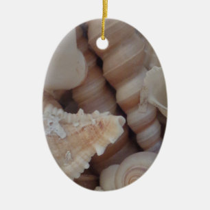 Ornamento De Cerâmica Sunny Summer Seasheles, Sea Shell Beach Love