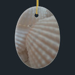 Ornamento De Cerâmica Sunny White Seashells, Sea Shell Beach Summer Love<br><div class="desc">Sunny White Seashells,  Sea Shell Beach Summer Love</div>