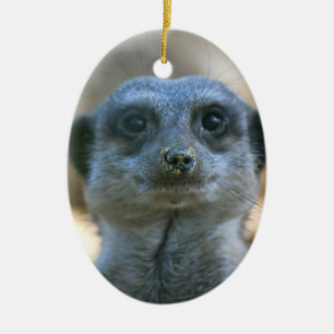 Ornamento De Cerâmica Suricata