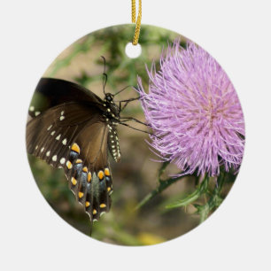 Ornamento De Cerâmica Swallowtail no cardo