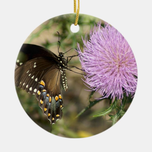 Ornamento De Cerâmica Swallowtail no cardo (Frente)