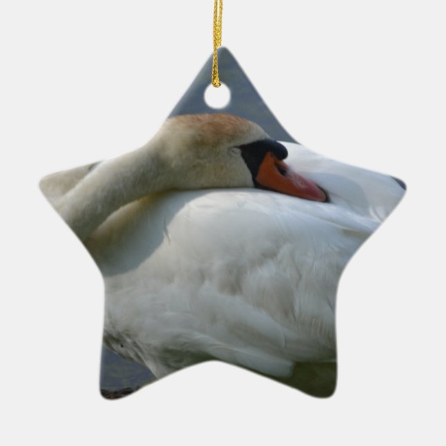 Ornamento De Cerâmica Swan (Frente)