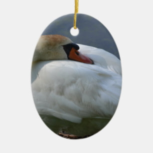 Ornamento De Cerâmica Swan