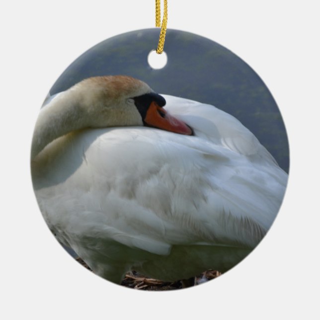 Ornamento De Cerâmica Swan (Frente)
