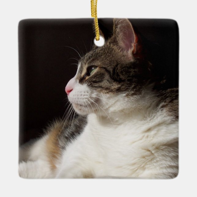 Ornamento De Cerâmica Tabby (Frente)