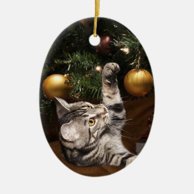 Ornamento De Cerâmica Tabby cat and Christmas tree (Frente)