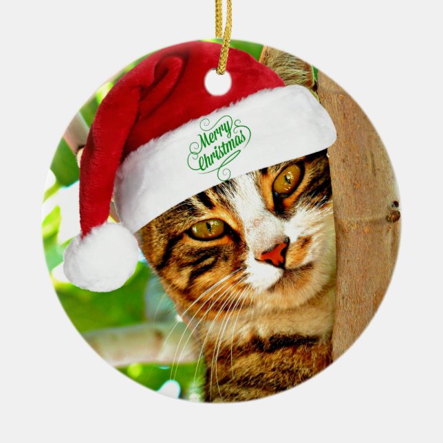 Ornamento De Cerâmica Tabby Cat de Natal numa Árvore (Frente)