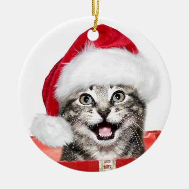 Ornamento De Cerâmica Tabby Christmas kitten (Frente)