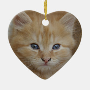 Ornamento De Cerâmica Tabby Tomcat Kitten