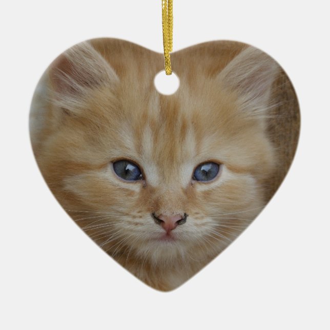 Ornamento De Cerâmica Tabby Tomcat Kitten (Frente)