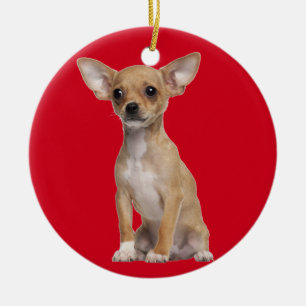 Ornamento De Cerâmica Tan e chihuahua branca