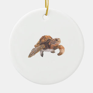 Ornamento De Cerâmica Tartaruga Cópia Cópia Cópia Cópia Cópia Cópia Cópi