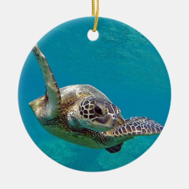 Ornamento De Cerâmica Tartaruga de mar verde de Havaí - Honu (Frente)