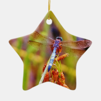 Ornamento De Cerâmica Teal Dragonfly na borda