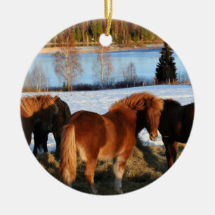 Ornamento De Cerâmica Tempo de alimentação