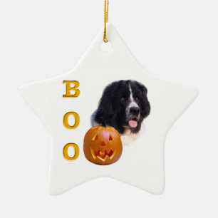 Ornamento De Cerâmica Terra Nova - Halloween Boo