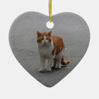 Ornamento De Cerâmica Thomas Ginger e White Cat