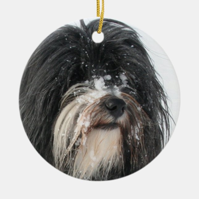 Ornamento De Cerâmica Tibet_Terrier.png (Frente)