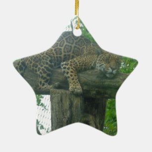 Ornamento De Cerâmica Tigre-dormindo na árvore, floresta, natureza, vida