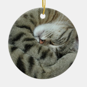 Ornamento De Cerâmica Tigre-Gato Dormente