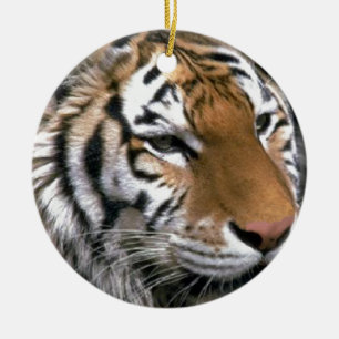 Ornamento De Cerâmica Tigre Siberiano Amam Arte