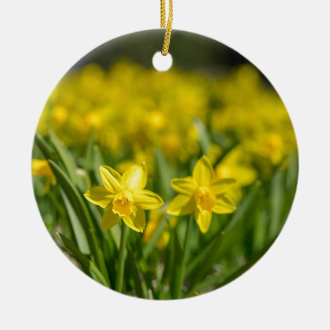 Ornamento De Cerâmica Tiny Daffodils (Frente)